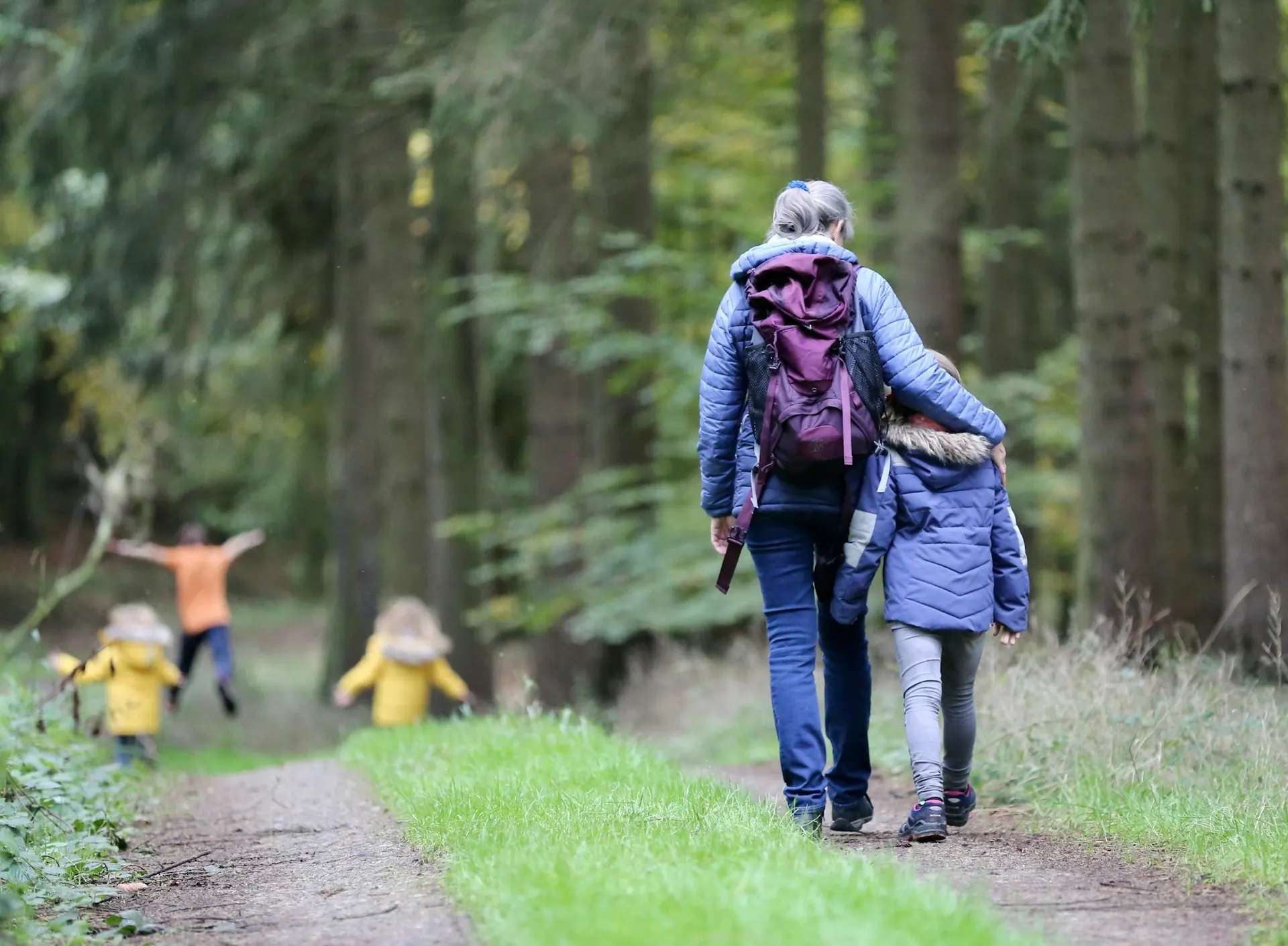 A parent and child walking hand in hand on a forest path while two children run ahead